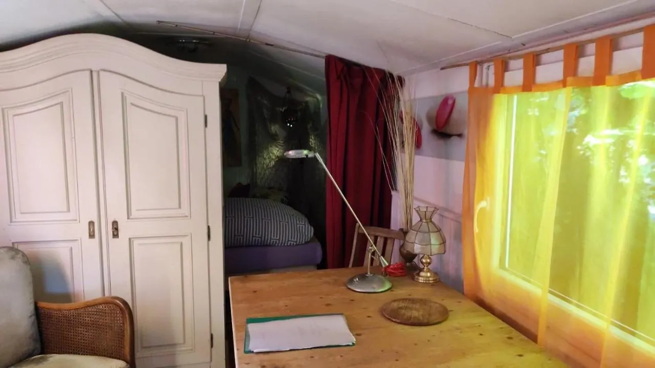 Trailer - Dschungel Lodge Kups